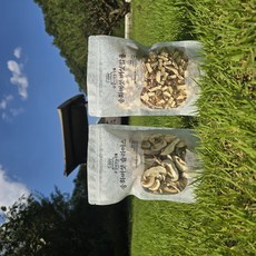 산지직송 저온건조 송화버섯 슬라이스 버섯밥용칩 가정용 선물용, 1개, 슬라이스+버섯밥용 180g