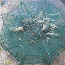 낚시 통발 6각 자바라 접이식 바다 민물 물고기 게 미꾸라지 붕어 통발