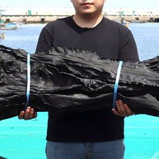 기장 해풍 자른 다시마 500g, 1개, 500g(1개)