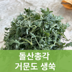 [돌산총각] 국산 노지재배 해풍 맞고 자란 거문도 생 쑥, 3kg, 1개