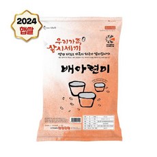 나노미 [24년 햅쌀] 맛있는 쌀 배아현미 1kg