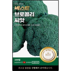 베스트 브로콜리 씨앗 100립 고구형 숙기 빠른 조생종 브로콜리씨 종자, 1개