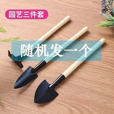 good 工具三件套園林剪種花養花園藝盆栽挖土鬆土小鐵鏟子耙噴壺, 1個, 小號三件套隨機發一個