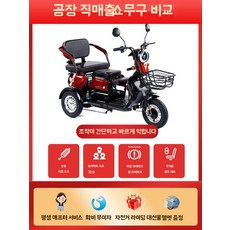48v 충전식 전기차 성인용 소형 삼륜 이동수단 배터리 세발 3인용 전동스쿠터, T. 디럭스 600W 48V12A 납산 40마일