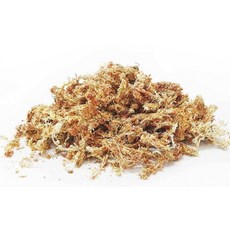 습식은신처 알부화용 게코 천연 수태, 1개