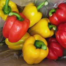 파프리카 못난이 가정용 빨강 노랑 혼합, 1개, 2kg(크기 랜덤)