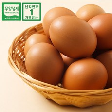 [난각번호 1번] 자유방목 유정란 무항생제 계란, 1박스, 40구