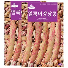 세인화분 얼룩이 강낭콩 70립 - 국산 씨 씨앗 강남콩, 2개 2개