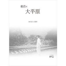 般若的大平原, 韓比CO