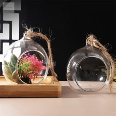 CDRW 테라리움 투명 용기 5쌍 투명용기세트, 10cm