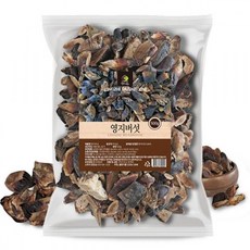 영지버섯(파쇄) 500g
