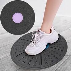 코어 균형운동 밸런스 보드, 퍼플