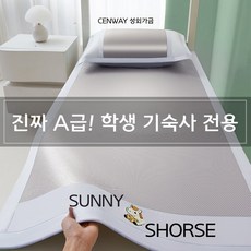 여름 냉감 매트 1인용 등나무 소재 90x190 시원한, 80x190cm 1개 세트, 2026 플래그십 실버 그레이