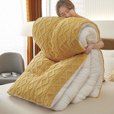 이불 겨울 양면 밀크 벨벳 양털 두꺼운 따뜻한 기숙사, 05 Color-1