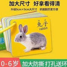 早教認知卡片 - 兒童益智玩具 寶寶1歲2歲識圖幼嬰兒看圖識字卡 啟蒙認數卡, 不易撕爛+防水+加厚+無異味人物五官【1盒】90圖