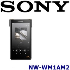 Sony Walkman 高解析數位音樂播放器，享受極致音質，隨時隨地沉浸在音樂世界, 黑色, NW-WM1AM2