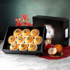 달찐과일 과일선물세트, 나주배 선물세트 프리미엄 7.5kg (9-10과)