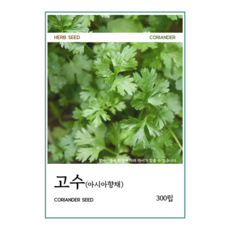 고수 씨앗 300립 2+1, 1개