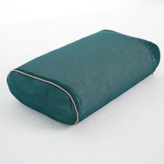 선일바이오 추억의 군대 빨대베개 바이오칩 경추베개, 1개, 그린