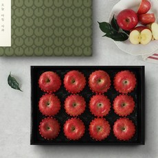 오늘아침 명품 사과선물세트 1호 4.5kg(12과), 없음