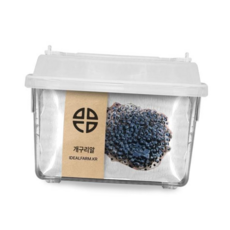 개구리알기르기 개구리 한살이 토종 알 관찰 키트, 본상품