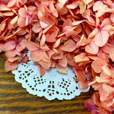 VITO zakka 木繡球永生花DIY乾燥花植物浮游花材花藝材料包拍攝道具DIY創作花材20g, 暖陽(橙黃粉漸變)(現貨)