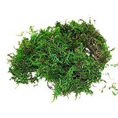 //이끼//청이끼(건조이끼) 700g, 1개