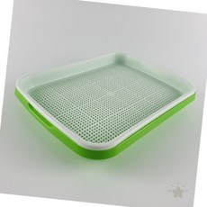 콩나물화분 재배 트레이 씨앗 모종 온실 수경 발아, 1개