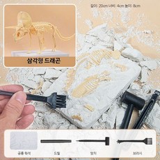 공룡 화석 발굴키트 고고학 체험 DIY 선물용 장난감 세트 트리케라톱스 화석 도구 제공, 1개