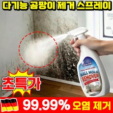 [닦을 필요 없는] 1/1+1 다기능 곰팡이 제거 스프레이 초강력 곰팡이제거제 화장실 욕실 벽지 곰팡이제거제 뿌리는청소세제 wall stain remover TENFOC 포장증정, 1개, 240ml