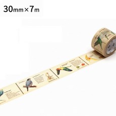 莫莫日貨 新裝上市 日本原裝進口 mt ex系列 和紙膠帶 - 圖鑑 鳥 MTEX1P90R, 1個