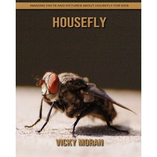 Housefly: Amazing Facts and Pictures about Housefly for Kids Paperback, Independently Published