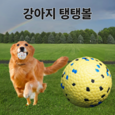 [3세대 장난감]컴포어 반려동물 탄력 탱탱볼, 화이트, 1개