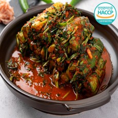 땡구네밥상 국내산 오이소박이 김치 반찬 수제 국내산 아삭한 맛있는 밥도둑 김치 오이소박이 캠핑반찬 고기반찬 밥도둑, 1박스, 1kg