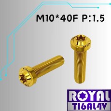 ROYAL 鈦合金螺絲 M10*40F P:1.5 飛碟頭, 1個