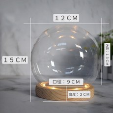 圓球型玻璃罩花器 永生花盅【有坎燈＆無燈】玻璃罩 花器 10/12/15/20 台灣現貨速發, １５cm球／木底【環燈】