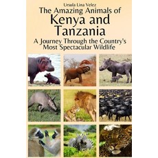 (영문도서) The Amazing Animals of Kenya and Tanzania: A Journey Through the Region's Most Spectacular Wi... Paperback, Independently Published, English, 9798870885285