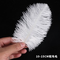 白色鴕鳥羽毛 婚慶裝飾 拍攝道具 擺件 柔軟飄逸 天然鴕鳥毛 多尺寸可選, 白色10-15cm精選細杆鴕鳥毛5根, 白色, 10-15cm精選細杆