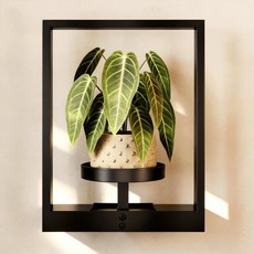 실내 식물을 위한 GENTINGBRO 벽걸이 식물 홀더 선반 걸이 거실 창문 발코니용, Frame Wall