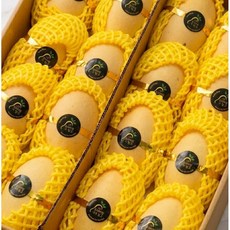 프리미엄 태국 망고 골드망고 항공수입, 1박스, 2kg (5-8과)