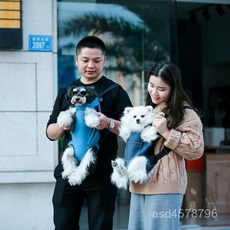 熱賣 狗狗外出雙肩包寵物外出包寵物背包透氣外出包背狗神器貓犬通用外出騎行便攜包FH4D, 尊貴黑網布,XXXL-(11-14公斤), 1個