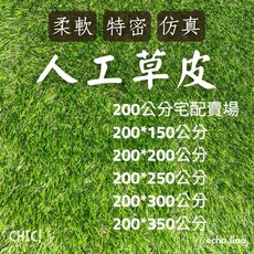 200公分寬特密仿真人工草皮 柔絲草皮 屋頂隔熱隔音, 詳見包裝, 詳見包裝, 3cm高特密春草,(200*150cm)
