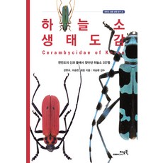 GEOBOOK 天牛生態圖鑑, 張賢圭,李承賢,崔雄 共著