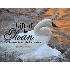 Gift of the Swan: The Swans of Swan Lake Iris Gardens Paperback, Alto Status Publishing, English, 9781735769608