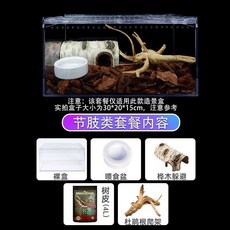 出貨 守宮/烏龜/爬蟲多功能飼養箱：守宮、蜘蛛、蜥蜴、角蛙、寄居蟹適用，玻璃雨林缸, 守宮套餐三(樹皮), 1個