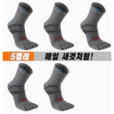 FOOTUNE 남성 스포츠 발가락 양말 중목 5켤레