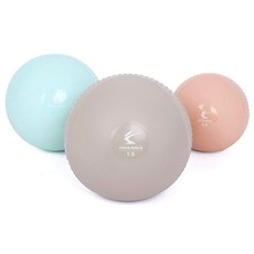 아이워너 소프트 토닝볼 2개 1세트 0.5kg 1kg 1.5kg 마사지볼, 1개, 1.5kg 문그레이