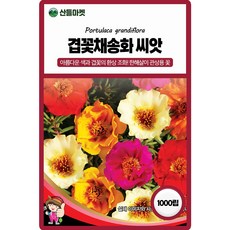 세계종묘 겹꽃채송화 씨앗 1000립 겹잎 채송화 꽃씨 종자, 1개 1개