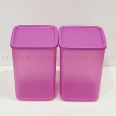 타파웨어 싱싱블록 2.2L 냉장고 정리용기, 1세트, 2개입
