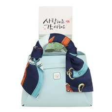 로자르 부모님 용돈 박스 2set 가방 돈선물 현금선물, 2개, 블루